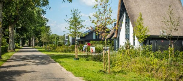 images2.persgroep.net.jpg